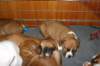 img_1887_small.jpg