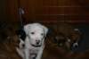 img_1888_small.jpg