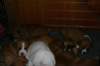 img_1891_small.jpg