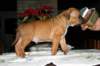 img_1530_small.jpg