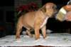 img_1531_small.jpg