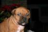 img_1534_small.jpg