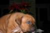 img_1535_small.jpg