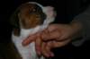 img_1545_small.jpg