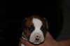img_1547_small.jpg