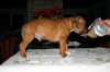 img_1550_small.jpg