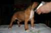 img_1551_small.jpg