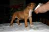 img_1552_small.jpg