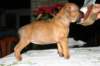img_1563_small.jpg