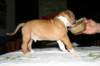 img_1570_small.jpg