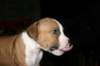img_1576_small.jpg