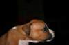 img_1584_small.jpg