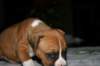 img_1585_small.jpg