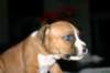 img_1586_small.jpg