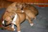 img_1610_small.jpg