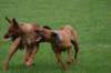 img_3890_small.jpg