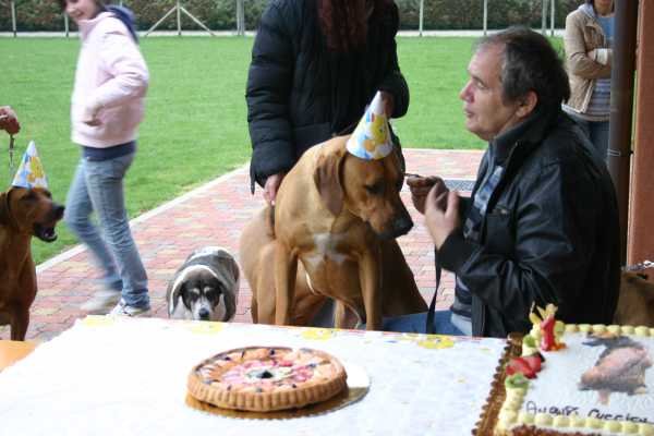 img_3975.jpg