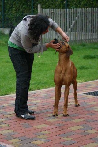 img_4057.jpg