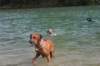 img_9853_small.jpg