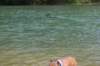 img_9858_small.jpg