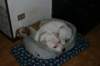 img_6350_small.jpg