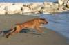 img_6362_small.jpg