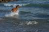 img_6364_small.jpg