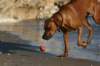 img_6380_small.jpg