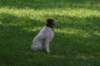 img_0337_small.jpg