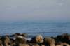 img_0872_small.jpg