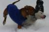 img_6768_small.jpg
