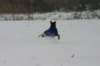 img_6791_small.jpg