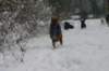 img_6814_small.jpg