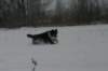img_6821_small.jpg