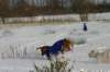 img_6932_small.jpg