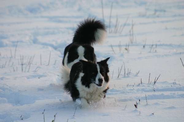 img_7090.jpg
