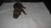 img_0400_small.jpg