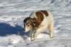 img_0469_small.jpg