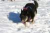 img_0481_small.jpg