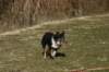 img_3239_small.jpg