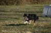 img_3244_small.jpg