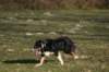 img_3245_small.jpg