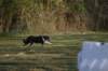 img_3262_small.jpg
