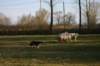 img_3266_small.jpg