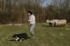 img_3292_small.jpg