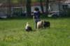 img_9351_small.jpg