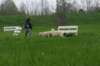 img_9392_small.jpg