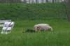 img_9417_small.jpg