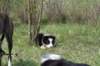img_2121_small.jpg