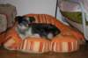 img_2200_small.jpg